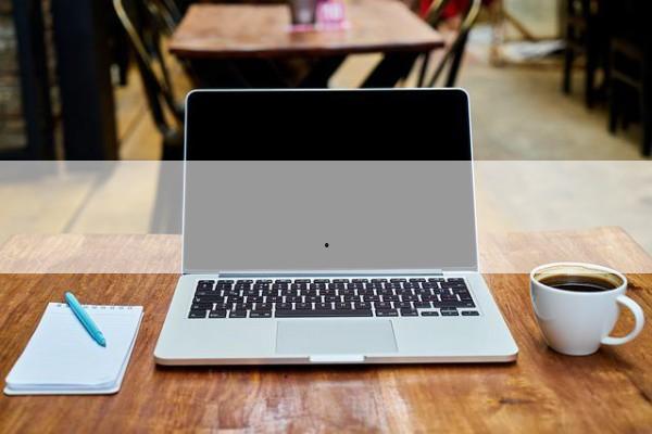 娱乐吃瓜酱遛狗,揭秘明星宠物日常
